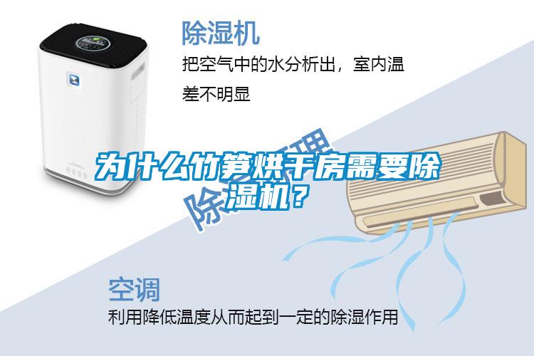 為什么竹筍烘干房需要除濕機(jī)？