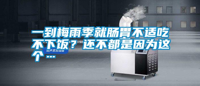 一到梅雨季就腸胃不適吃不下飯？還不都是因為這個…
