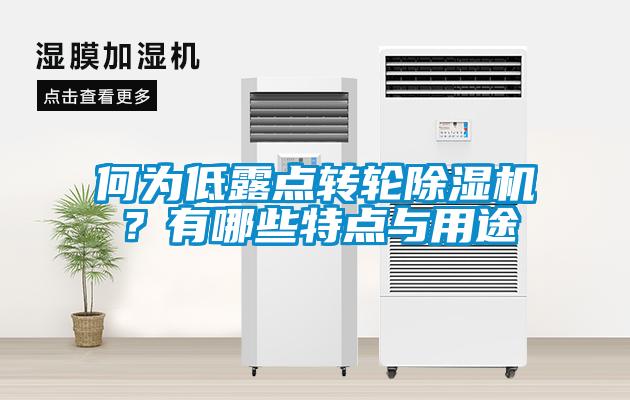 何為低露點轉輪除濕機？有哪些特點與用途