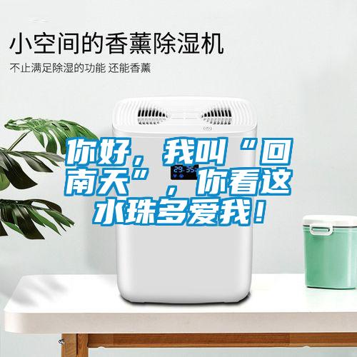 你好，我叫“回南天”，你看這水珠多愛我！