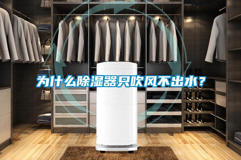 為什么除濕器只吹風不出水？