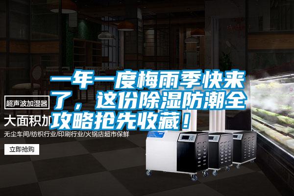 一年一度梅雨季快來了，這份除濕防潮全攻略搶先收藏！