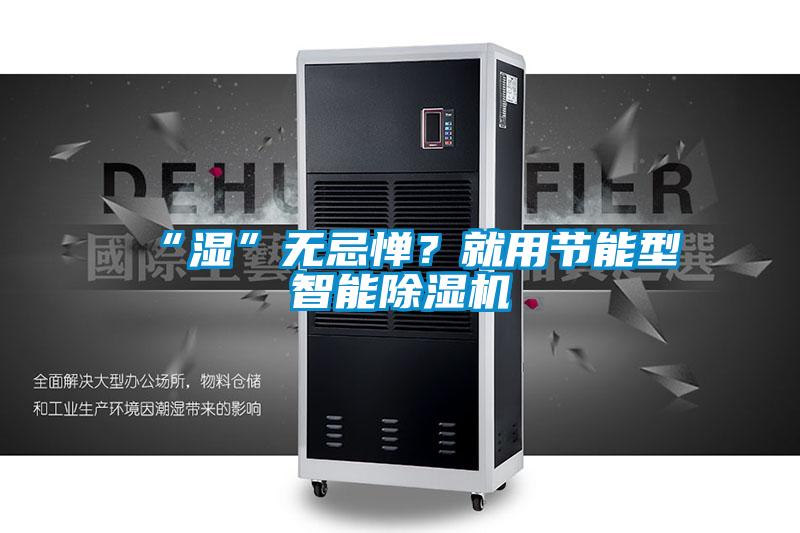 “濕”無忌憚？就用節(jié)能型智能除濕機