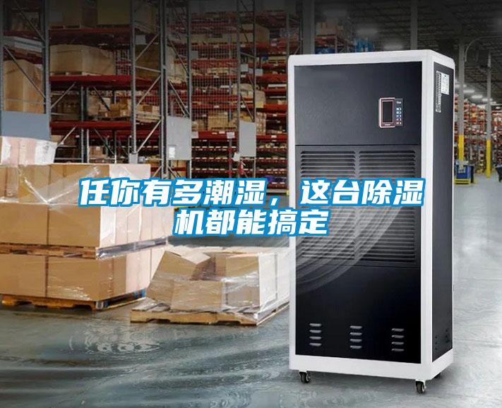 任你有多潮濕，這臺除濕機都能搞定