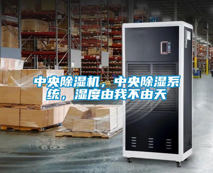 中央除濕機(jī)，中央除濕系統(tǒng)，濕度由我不由天