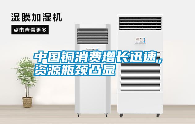 中國銅消費增長迅速，資源瓶頸凸顯