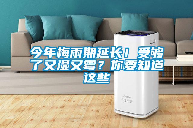 今年梅雨期延長(zhǎng)！受夠了又濕又霉？你要知道這些
