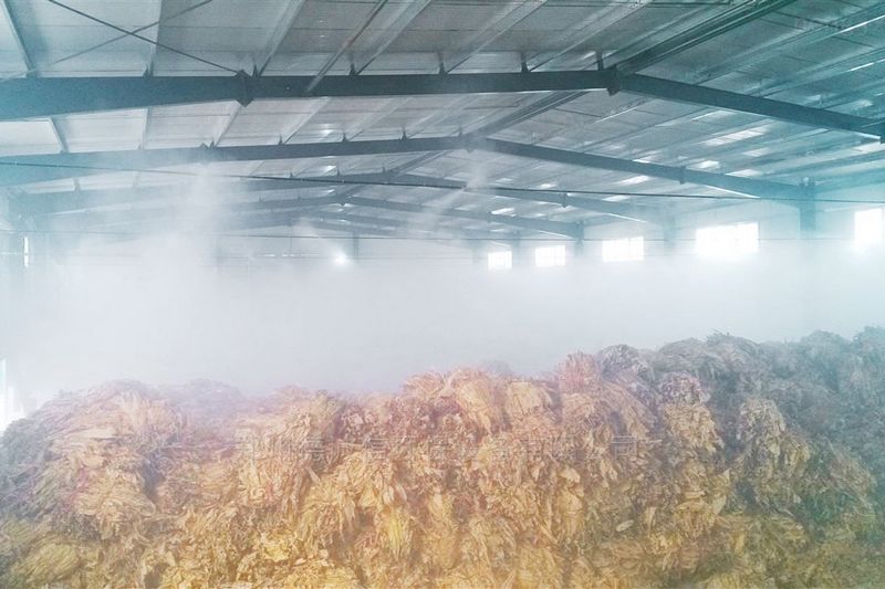 提升煙葉加工質(zhì)量，高效回潮很重要