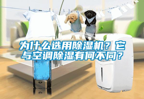為什么選用除濕機？它與空調(diào)除濕有何不同？