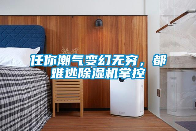 任你潮氣變幻無窮，都難逃除濕機掌控