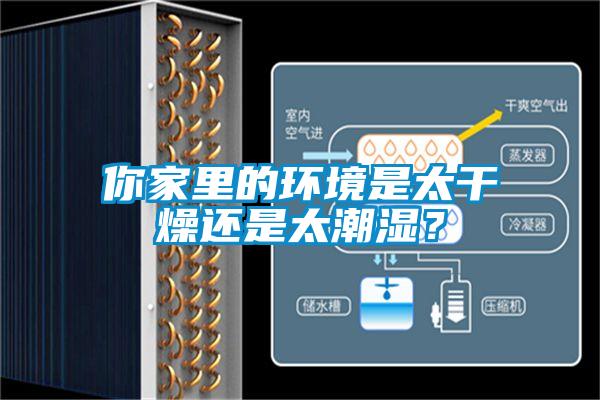 你家里的環(huán)境是太干燥還是太潮濕？