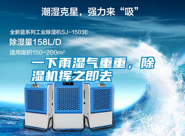 一下雨濕氣重重，除濕機(jī)揮之即去