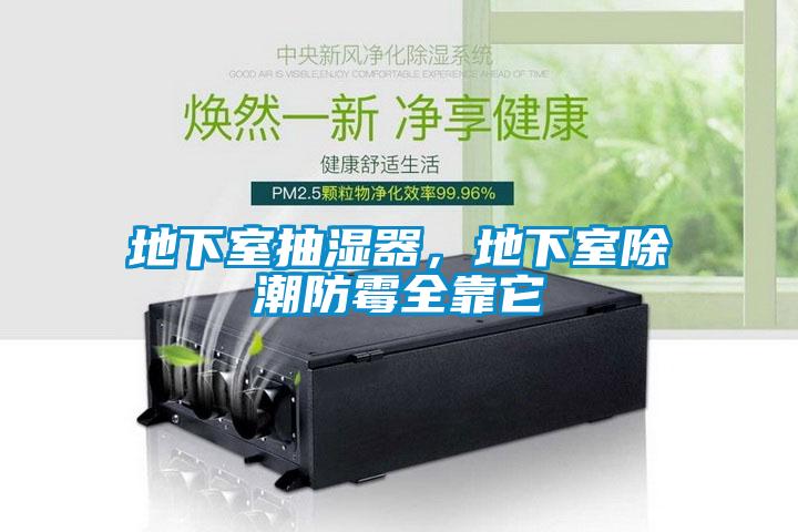 地下室抽濕器，地下室除潮防霉全靠它