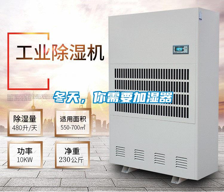 冬天，你需要加濕器