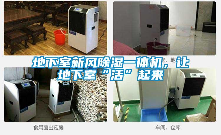 地下室新風(fēng)除濕一體機(jī)，讓地下室“活”起來(lái)