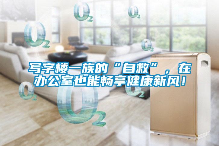 寫字樓一族的“自救”，在辦公室也能暢享健康新風！