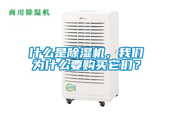 什么是除濕機(jī)，我們?yōu)槭裁匆?gòu)買它們？