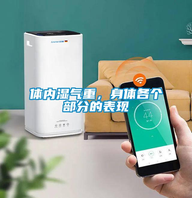 體內(nèi)濕氣重，身體各個(gè)部分的表現(xiàn)