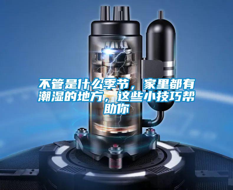 不管是什么季節(jié)，家里都有潮濕的地方，這些小技巧幫助你