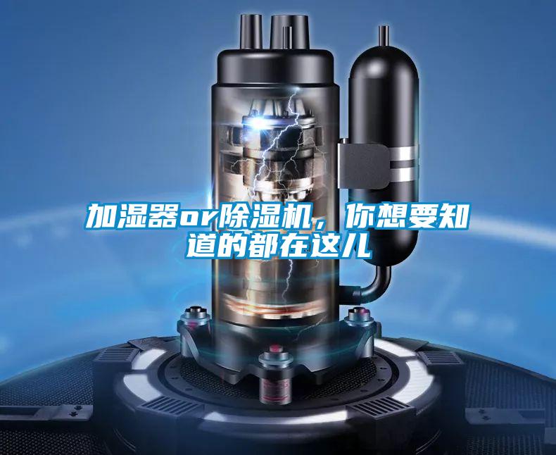 加濕器or除濕機，你想要知道的都在這兒