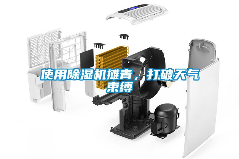 使用除濕機(jī)攤青，打破天氣束縛