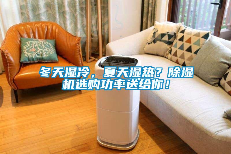 冬天濕冷，夏天濕熱？除濕機選購功率送給你！