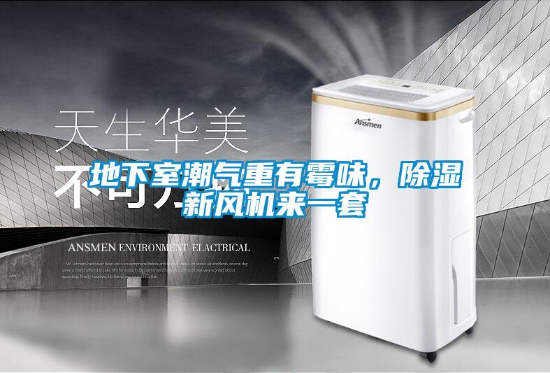 地下室潮氣重有霉味，除濕新風機來一套