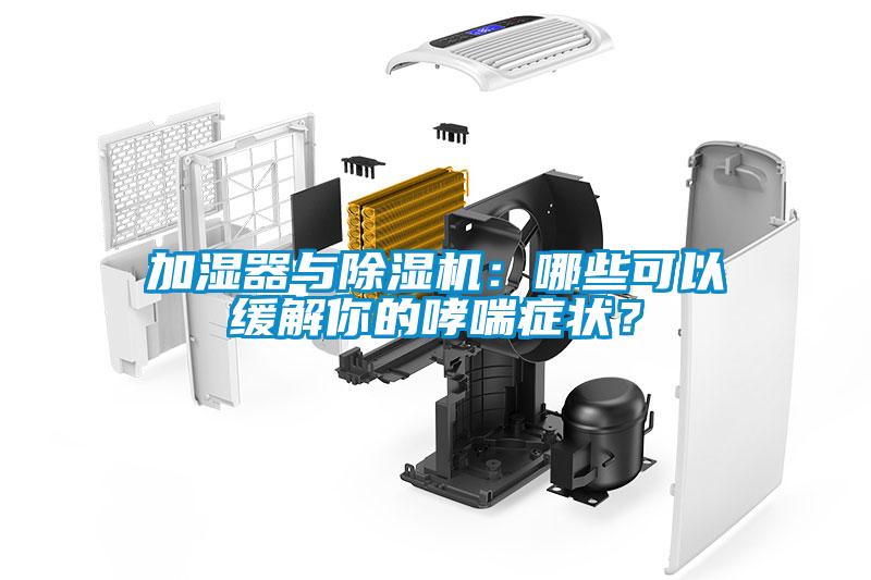 加濕器與除濕機(jī)：哪些可以緩解你的哮喘癥狀？