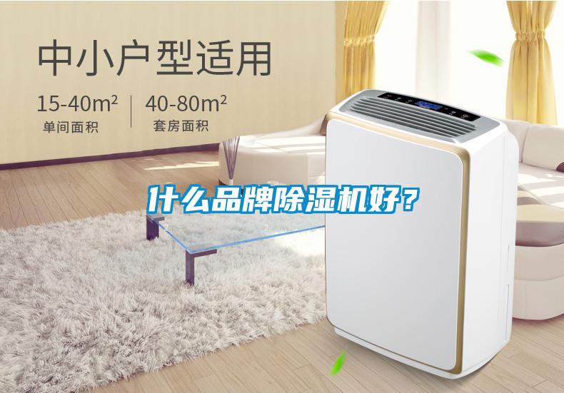 什么品牌除濕機(jī)好？