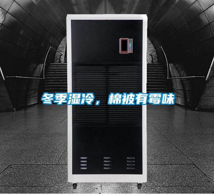 冬季濕冷，棉被有霉味