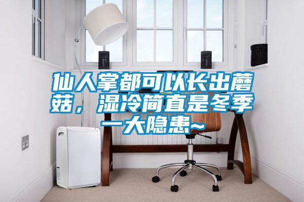 仙人掌都可以長出蘑菇，濕冷簡直是冬季一大隱患~