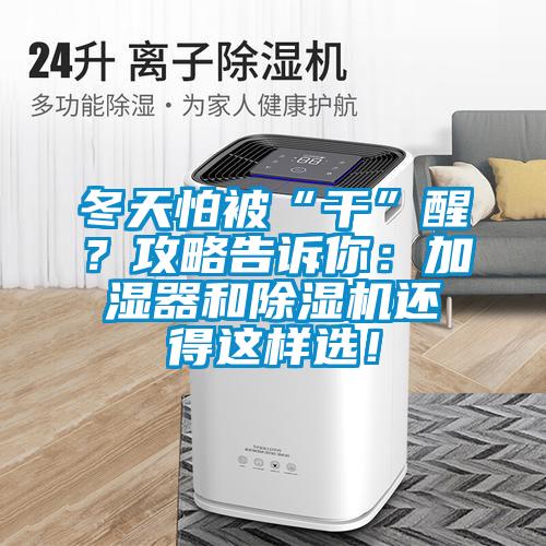 冬天怕被“干”醒？攻略告訴你：加濕器和除濕機還得這樣選！