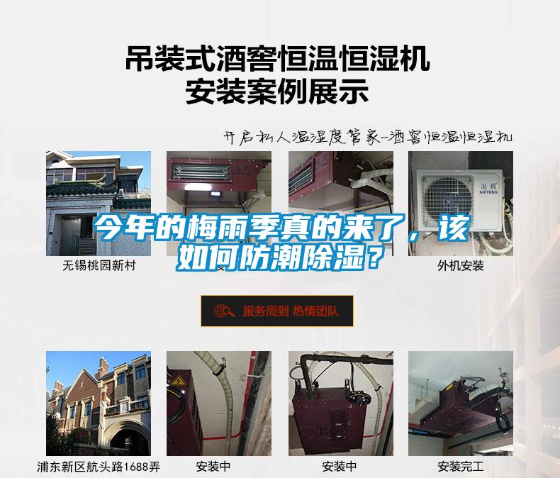 今年的梅雨季真的來了，該如何防潮除濕？