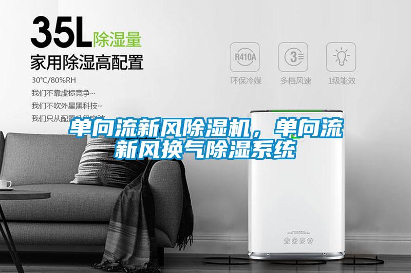 單向流新風(fēng)除濕機，單向流新風(fēng)換氣除濕系統(tǒng)