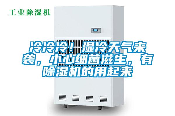 冷冷冷！濕冷天氣來襲，小心細菌滋生，有除濕機的用起來