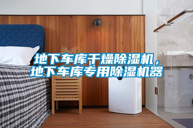 地下車庫干燥除濕機(jī)，地下車庫專用除濕機(jī)器
