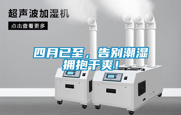四月已至，告別潮濕擁抱干爽！