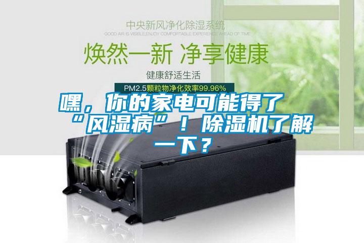 嘿，你的家電可能得了“風(fēng)濕病”！除濕機(jī)了解一下？