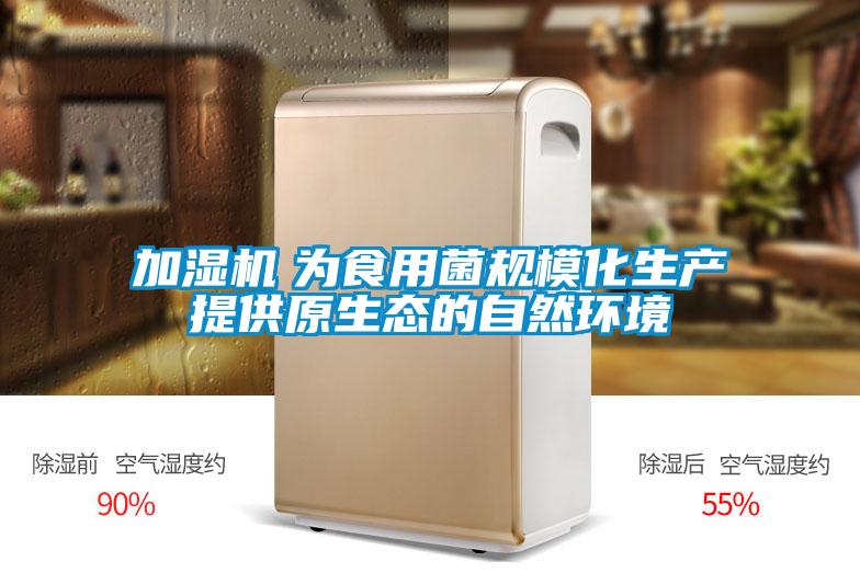 加濕機(jī) 為食用菌規(guī)?;a(chǎn)提供原生態(tài)的自然環(huán)境