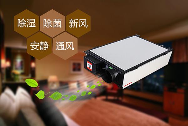 只有做好品牌，除濕機企業(yè)才能更長久