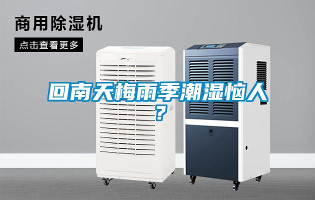 回南天梅雨季潮濕惱人？