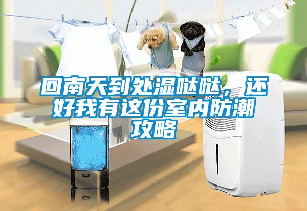 回南天到處濕噠噠，還好我有這份室內(nèi)防潮攻略