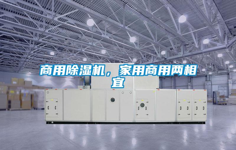 商用除濕機(jī)，家用商用兩相宜