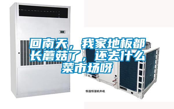 回南天，我家地板都長蘑菇了，還去什么菜市場呀