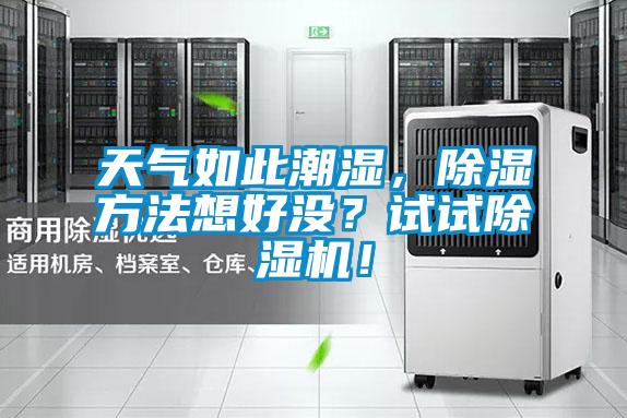 天氣如此潮濕，除濕方法想好沒？試試除濕機！