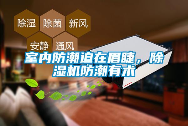 室內(nèi)防潮迫在眉睫，除濕機(jī)防潮有術(shù)