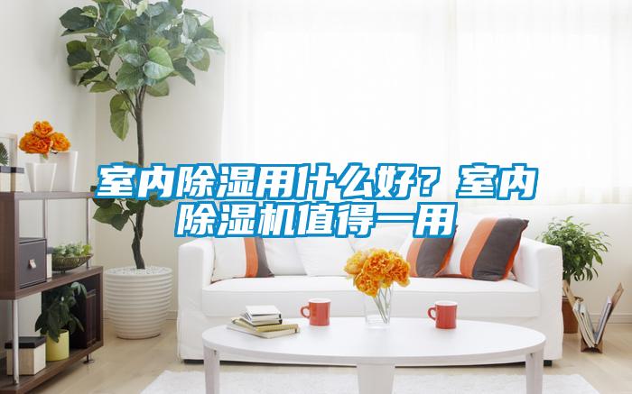 室內(nèi)除濕用什么好？室內(nèi)除濕機(jī)值得一用
