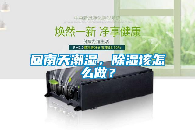 回南天潮濕，除濕該怎么做？