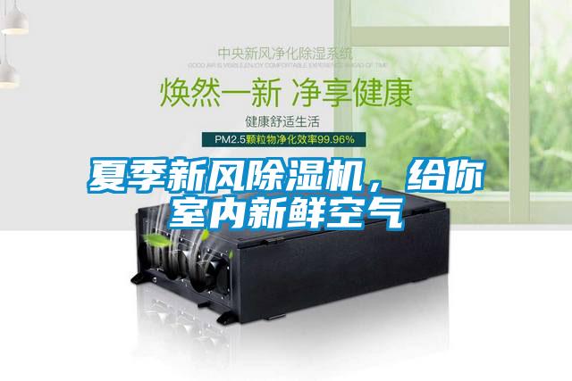夏季新風除濕機，給你室內新鮮空氣