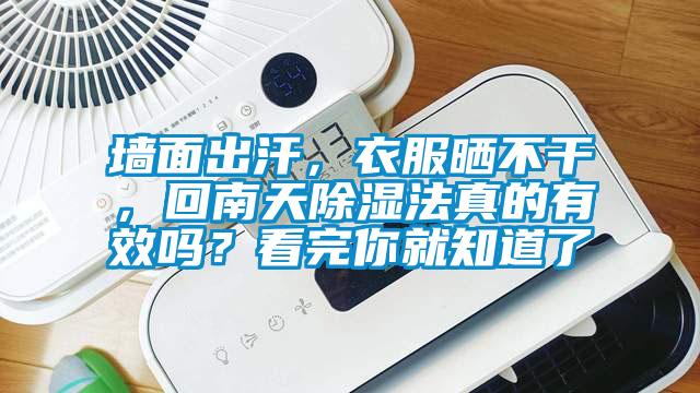 墻面出汗，衣服曬不干，回南天除濕法真的有效嗎？看完你就知道了